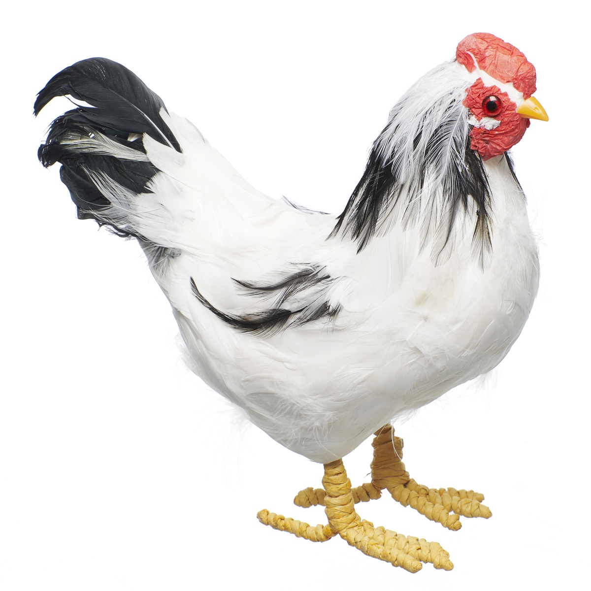 Poule 2 modèles assortis noire et blanche | La Boutique HOP